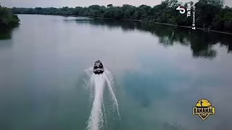 Bananal Island - Brazil! Lots of fish and a huge variety of fauna and flora!